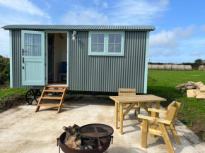 Lower Trewern Shepherds Hut